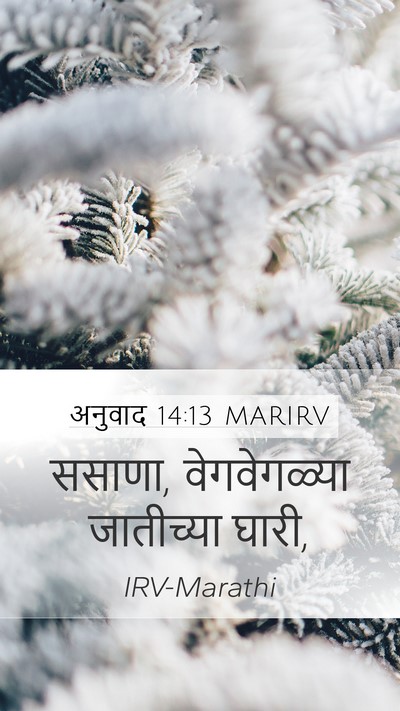 अनुवाद 14:13 MARIRV Mobile Phone Wallpaper - ससाणा, वेगवेगळ्या - Mobile Bible Verse Wallpaper