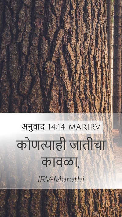 अनुवाद 14:14 MARIRV Mobile Phone Wallpaper - कोणत्याही जातीचा - Mobile Bible Verse Wallpaper