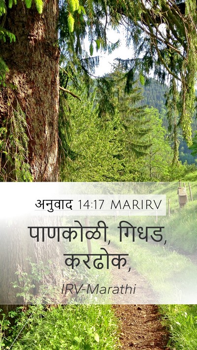 अनुवाद 14:17 MARIRV Mobile Phone Wallpaper - पाणकोळी, गिधड, - Mobile Bible Verse Wallpaper