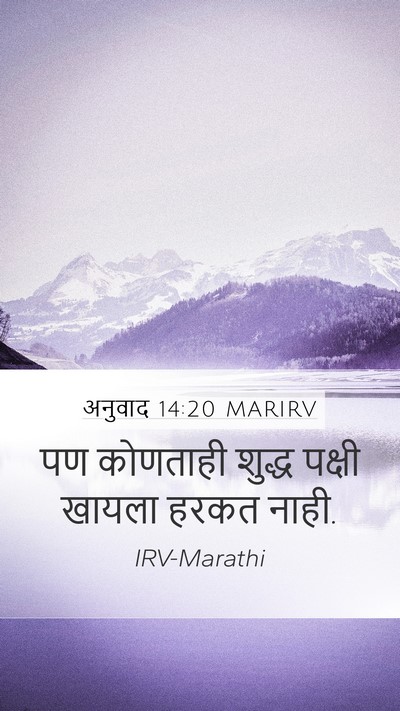 अनुवाद 14:20 MARIRV Mobile Phone Wallpaper - पण कोणताही शुद्ध - Mobile Bible Verse Wallpaper
