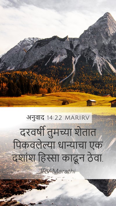 अनुवाद 14:22 MARIRV Bible Verse Image