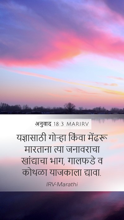 अनुवाद 18:3 MARIRV Bible Verse Image