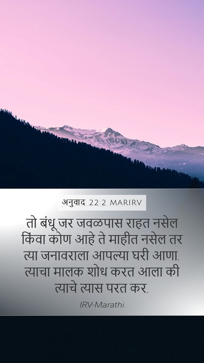 अनुवाद 22:2 MARIRV Mobile Phone Wallpaper - तो बंधू जर जवळपास - Mobile Bible Verse Wallpaper