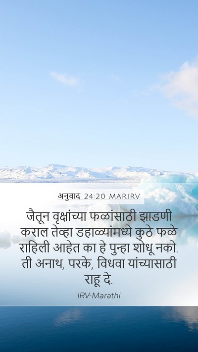 अनुवाद 24:20 MARIRV Mobile Phone Wallpaper - जैतून वृक्षांच्या - Mobile Bible Verse Wallpaper