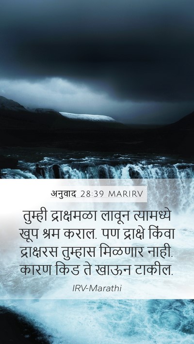 अनुवाद 28:39 MARIRV Bible Verse Image