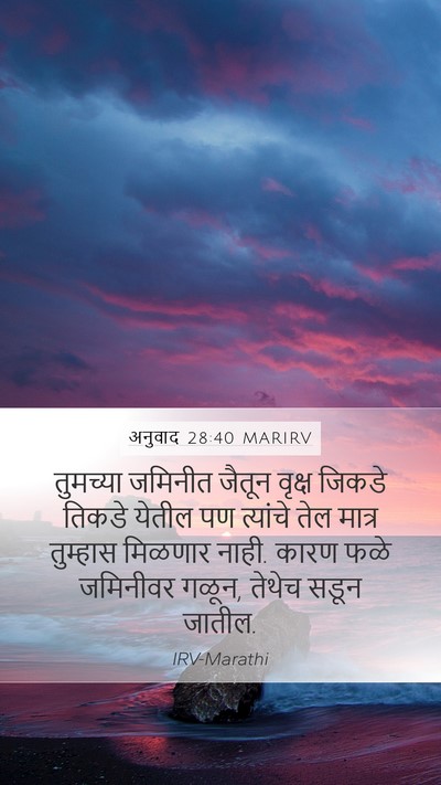 अनुवाद 28:40 MARIRV Bible Verse Image