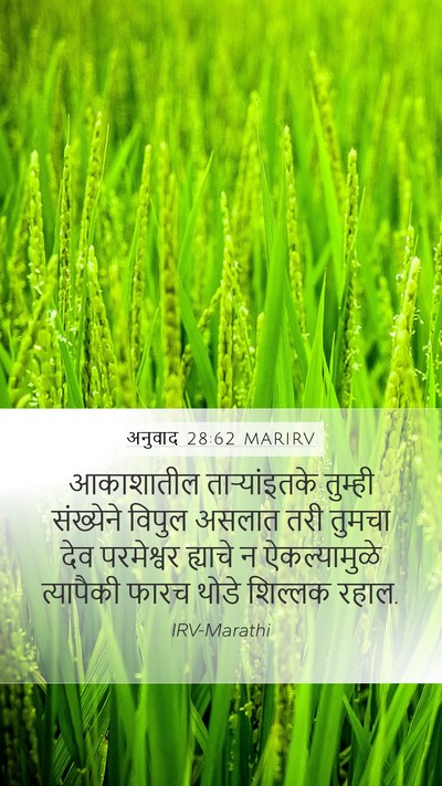 अनुवाद 28:62 MARIRV Bible Verse Image