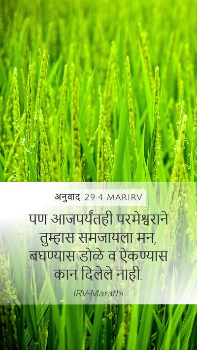 अनुवाद 29:4 MARIRV Bible Verse Image