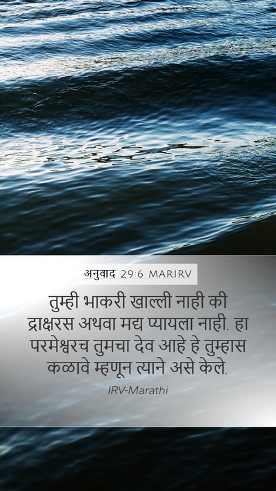 अनुवाद 29:6 MARIRV Bible Verse Image