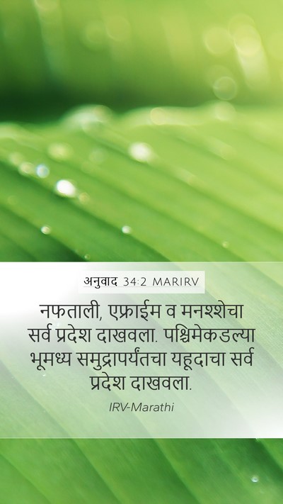 अनुवाद 34:2 MARIRV Mobile Phone Wallpaper - नफताली, एफ्राईम व - Mobile Bible Verse Wallpaper