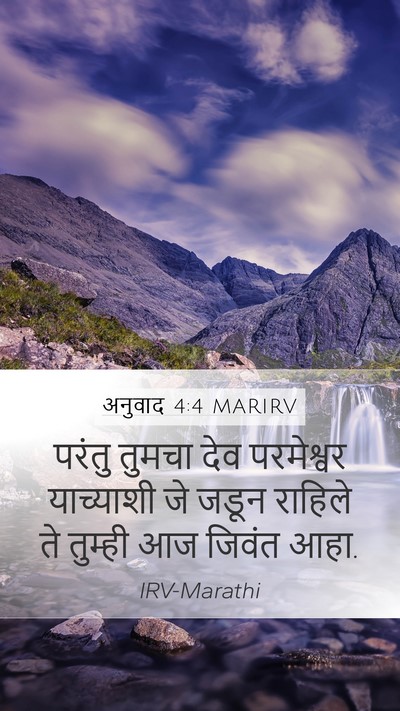 अनुवाद 4:4 MARIRV Bible Verse Image