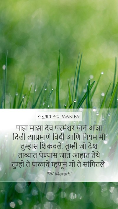 अनुवाद 4:5 MARIRV Bible Verse Image