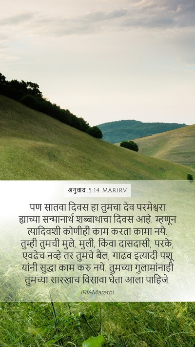 अनुवाद 5:14 MARIRV Bible Verse Image