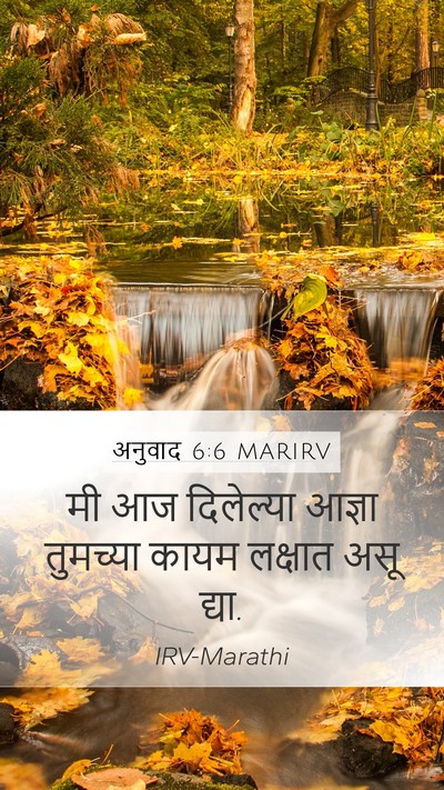 अनुवाद 6:6 MARIRV Bible Verse Image