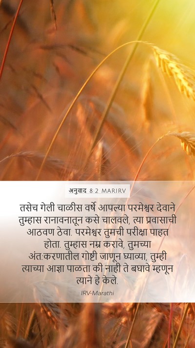 अनुवाद 8:2 MARIRV Bible Verse Image