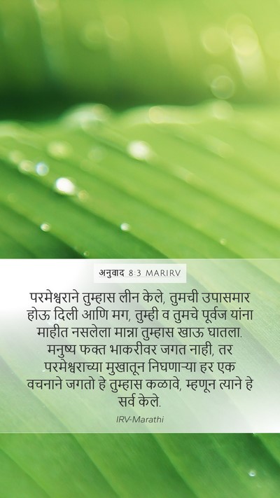 अनुवाद 8:3 MARIRV Bible Verse Image