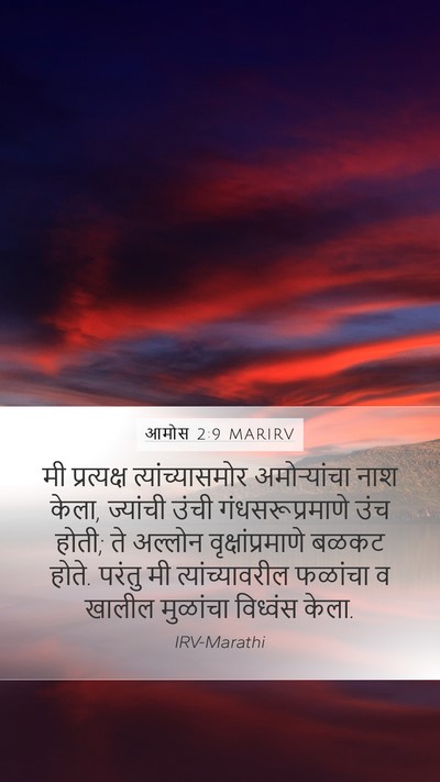 आमोस 2:9 MARIRV Bible Verse Image