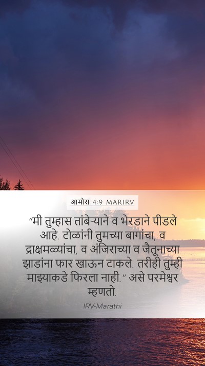 आमोस 4:9 MARIRV Bible Verse Image