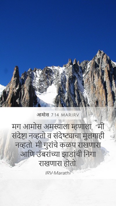 आमोस 7:14 MARIRV Bible Verse Image