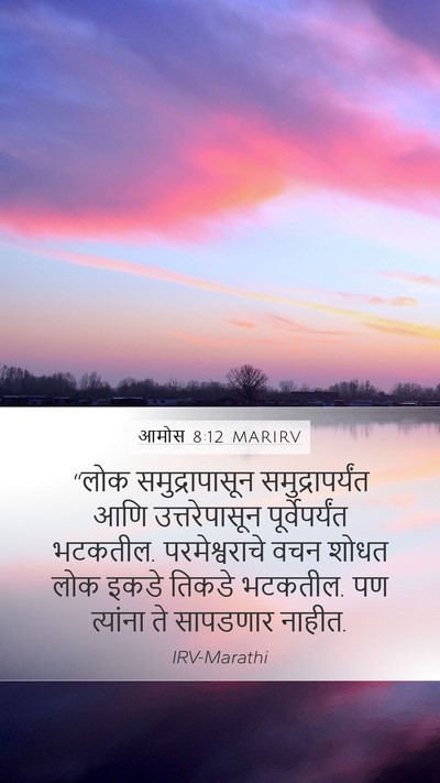 आमोस 8:12 MARIRV Bible Verse Image