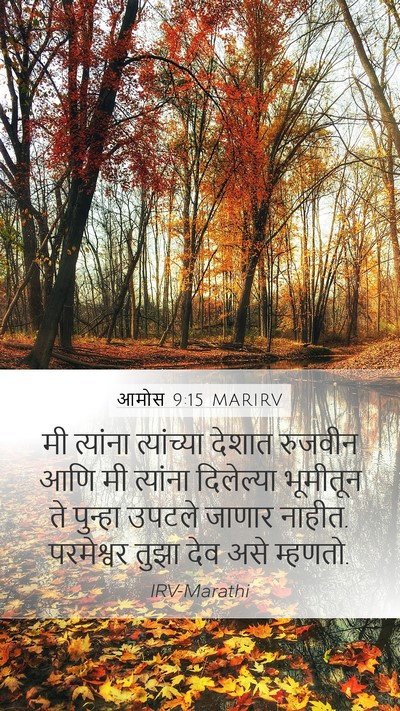 आमोस 9:15 MARIRV Bible Verse Image