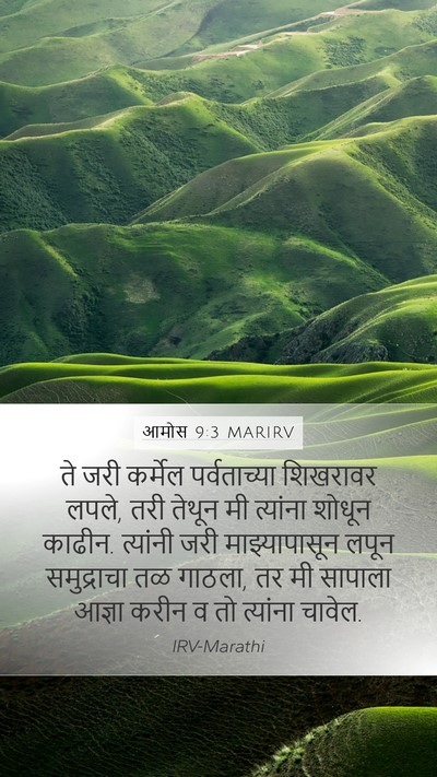 आमोस 9:3 MARIRV Bible Verse Image