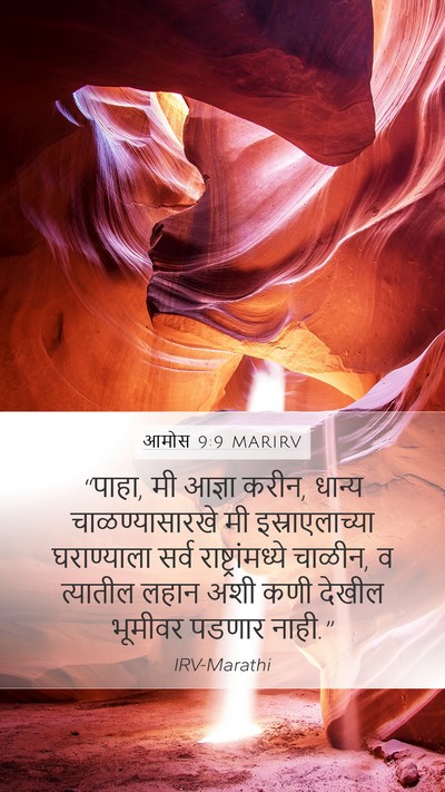 आमोस 9:9 MARIRV Bible Verse Image