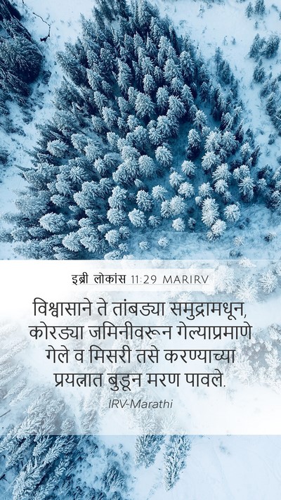 इब्री लोकांस 11:29 MARIRV Bible Verse Image