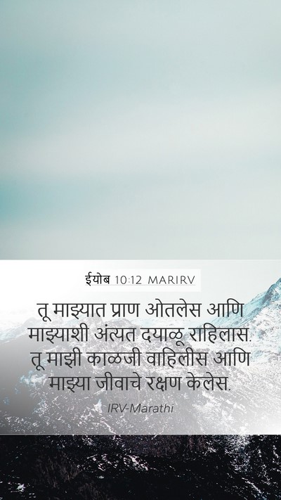 ईयोब 10:12 MARIRV Bible Verse Image