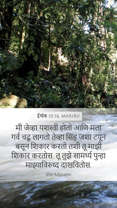 ईयोब 10:16 MARIRV Bible Verse Image