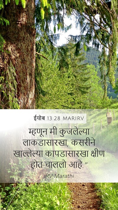ईयोब 13:28 MARIRV Bible Verse Image