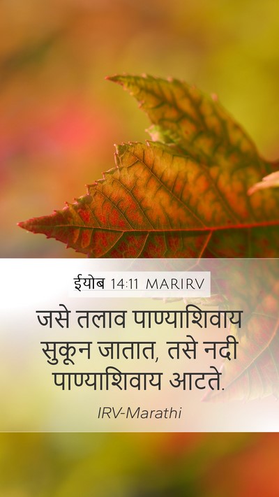 ईयोब 14:11 MARIRV Mobile Phone Wallpaper - जसे तलाव - Mobile Bible Verse Wallpaper