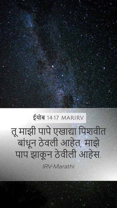 ईयोब 14:17 MARIRV Bible Verse Image