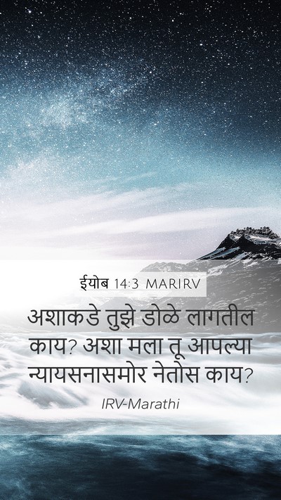 ईयोब 14:3 MARIRV Bible Verse Image