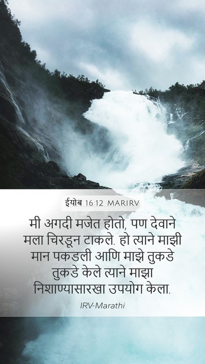 ईयोब 16:12 MARIRV Bible Verse Image
