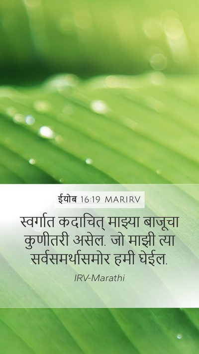 ईयोब 16:19 MARIRV Bible Verse Image