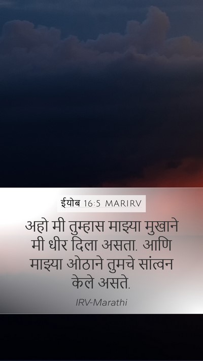 ईयोब 16:5 MARIRV Bible Verse Image