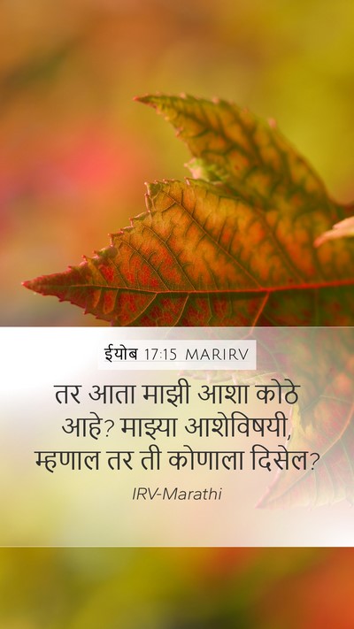 ईयोब 17:15 MARIRV Bible Verse Image