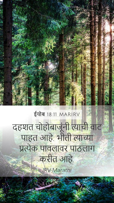 ईयोब 18:11 MARIRV Bible Verse Image