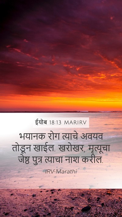 ईयोब 18:13 MARIRV Bible Verse Image
