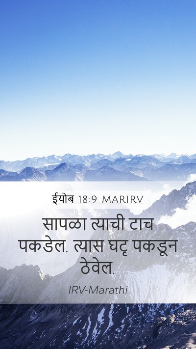 ईयोब 18:9 MARIRV Bible Verse Image