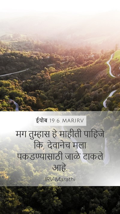 ईयोब 19:6 MARIRV Bible Verse Image