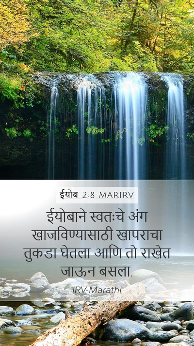 ईयोब 2:8 MARIRV Bible Verse Image