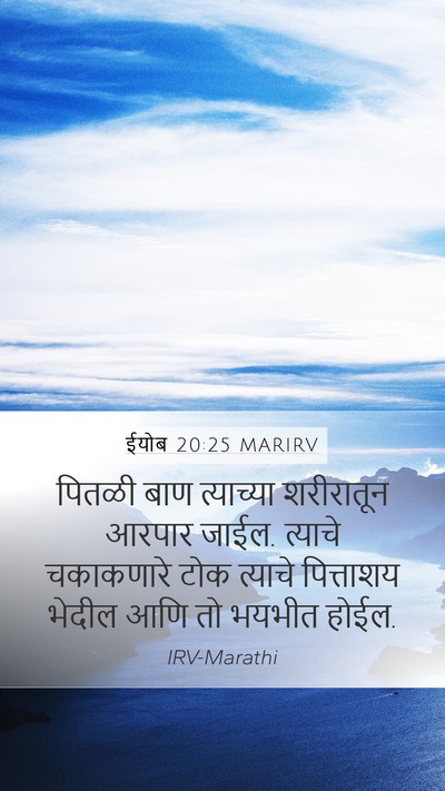 ईयोब 20:25 MARIRV Bible Verse Image