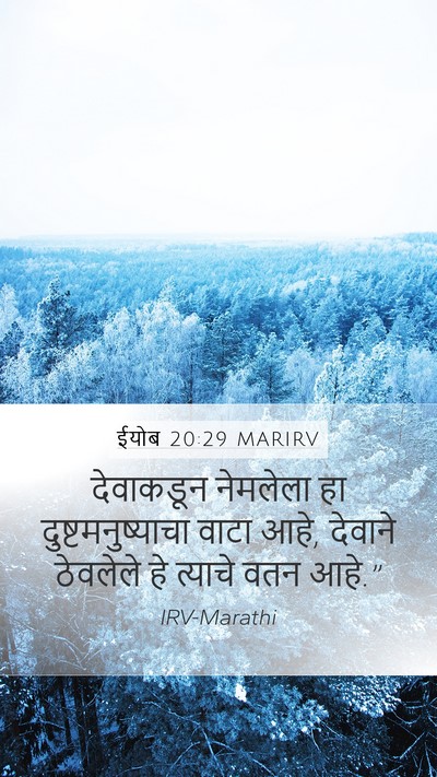 ईयोब 20:29 MARIRV Bible Verse Image
