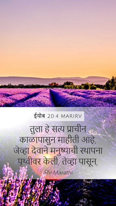 ईयोब 20:4 MARIRV Bible Verse Image