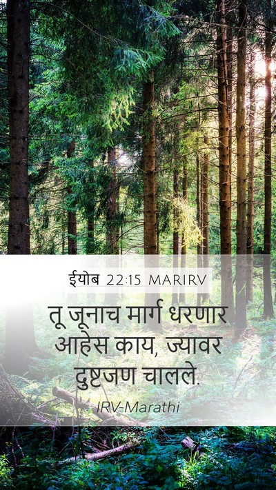 ईयोब 22:15 MARIRV Bible Verse Image