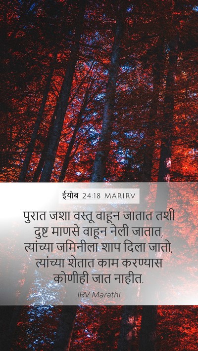 ईयोब 24:18 MARIRV Bible Verse Image