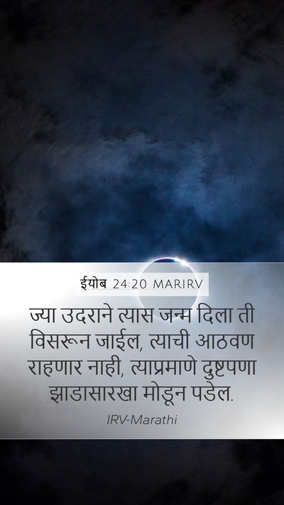 ईयोब 24:20 MARIRV Bible Verse Image