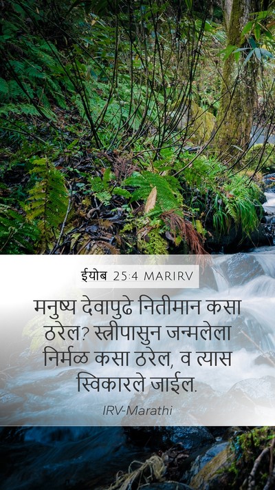 ईयोब 25:4 MARIRV Bible Verse Image